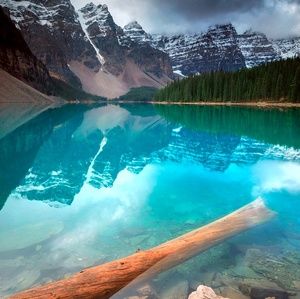 Meet your Posher, Katrina